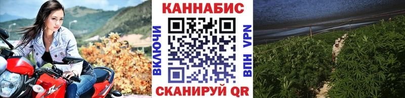 Купить  Белозерск  Конопля VHQ 